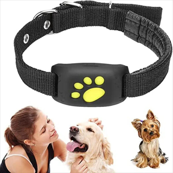 Collar Rastreador De Mascota