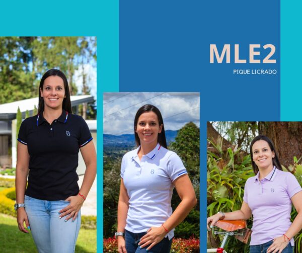 MLE2