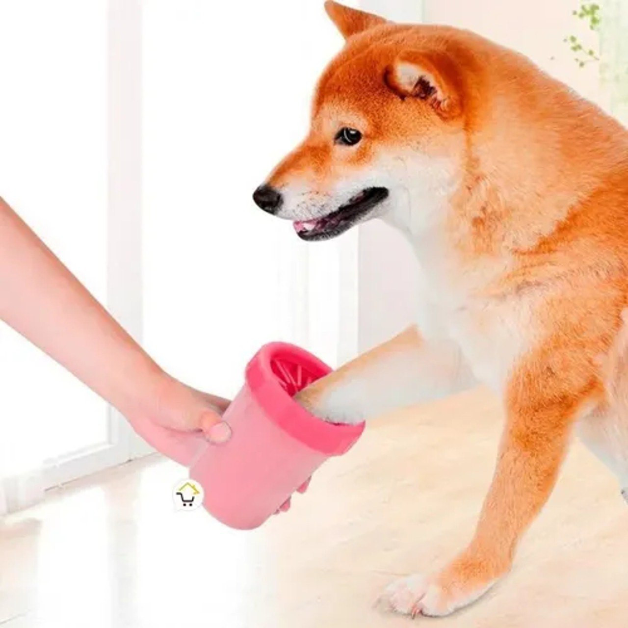 LIMPIAS PATAS DE MASCOTAS