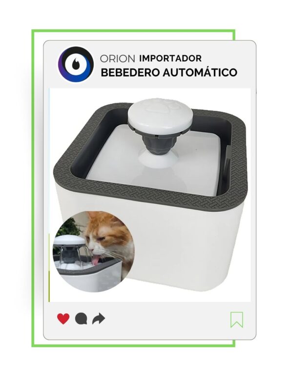 BEBEDERO AUTOMATICO DE MASCOTAS