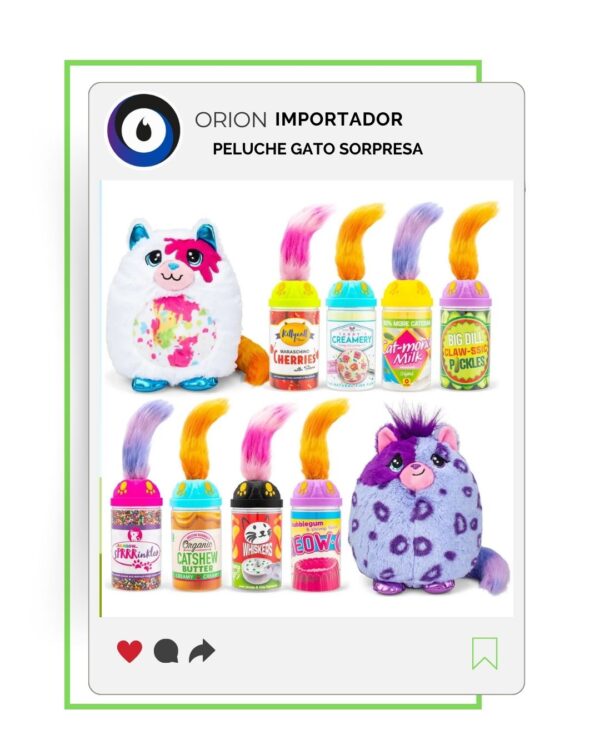 GATO SORPRESA
