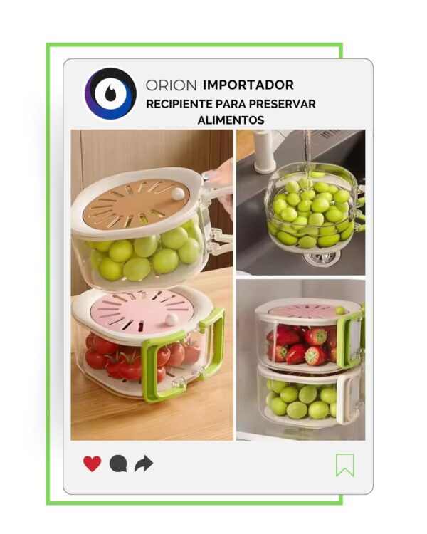 RECIPIENTE CONTENEDOR DE VERDURAS