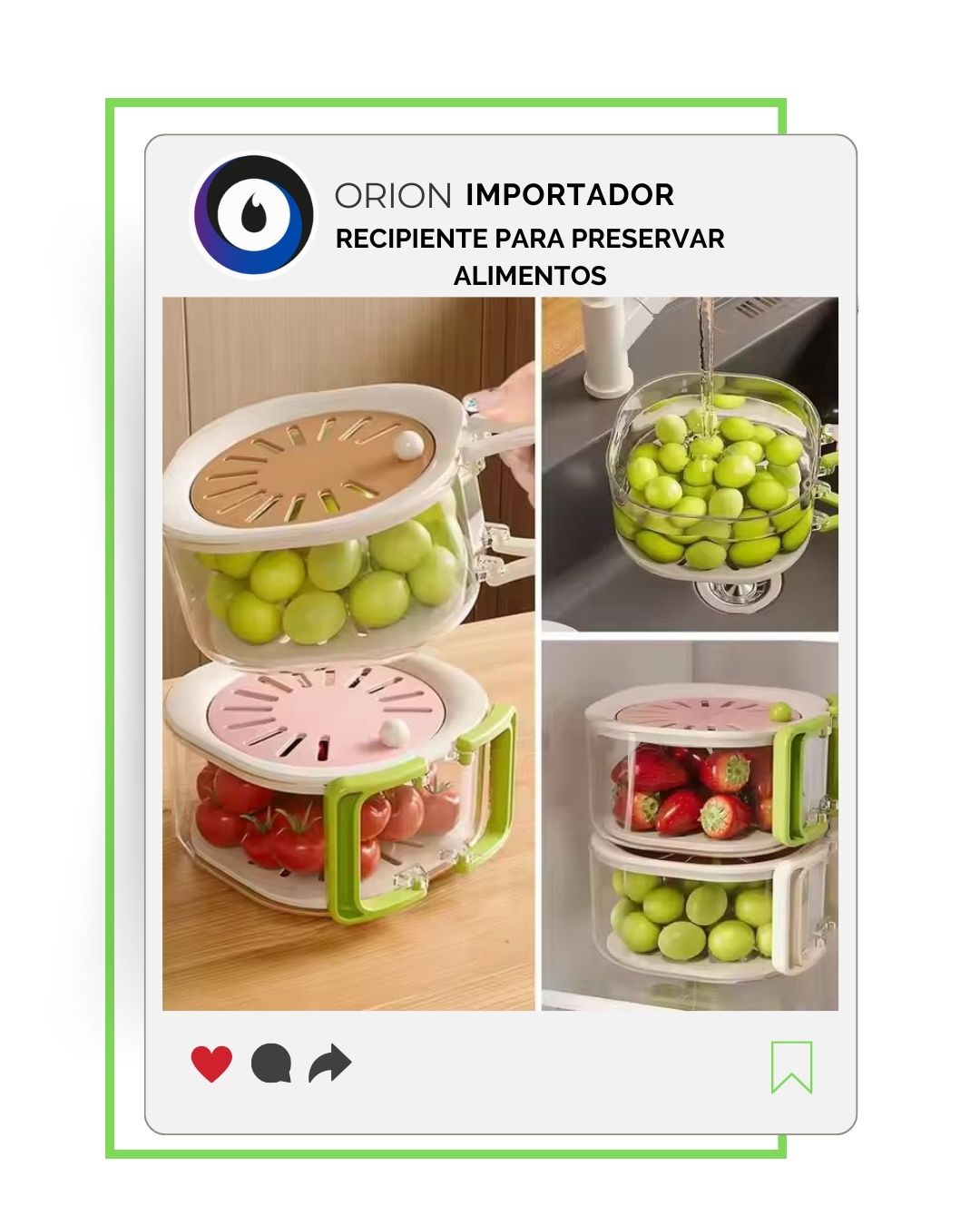 RECIPIENTE CONTENEDOR DE VERDURAS
