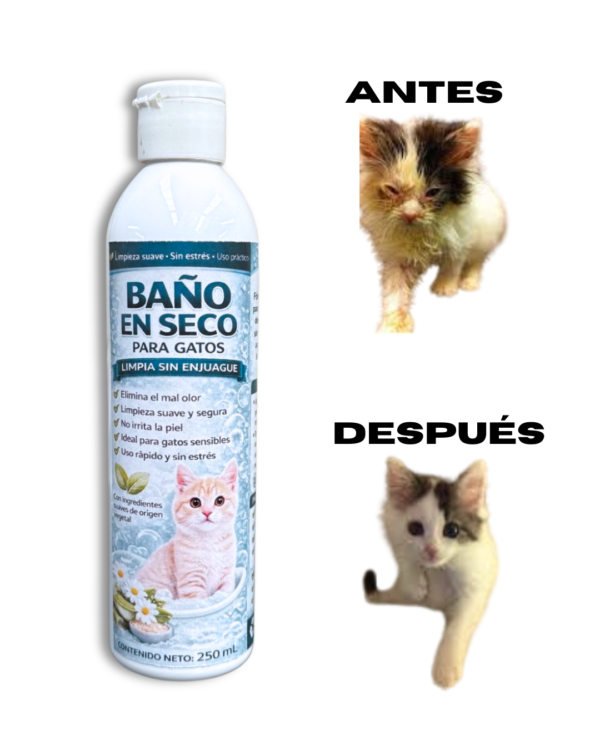 Bano En Seco Para Gatos