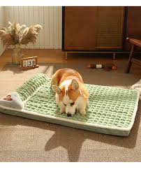 Cama Ortopedica para mascotas